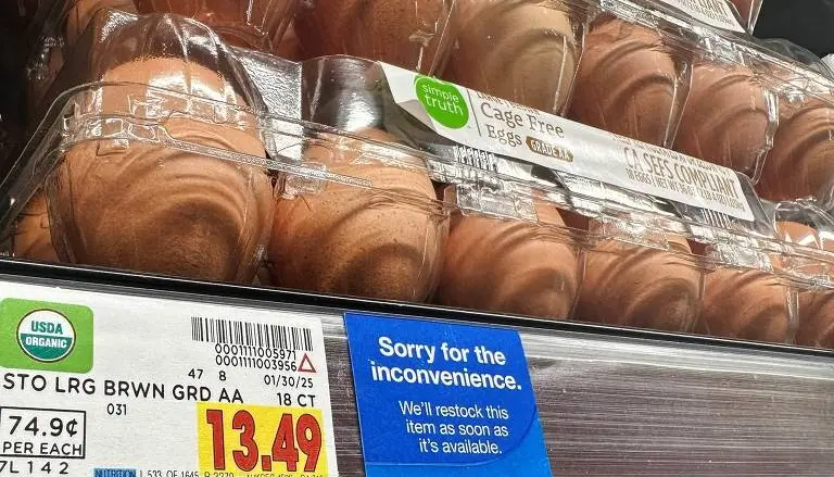 173955721067af895a8ebbf_1739557210_3x2_md