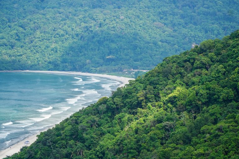 54313570665_d90f3d0b64_k