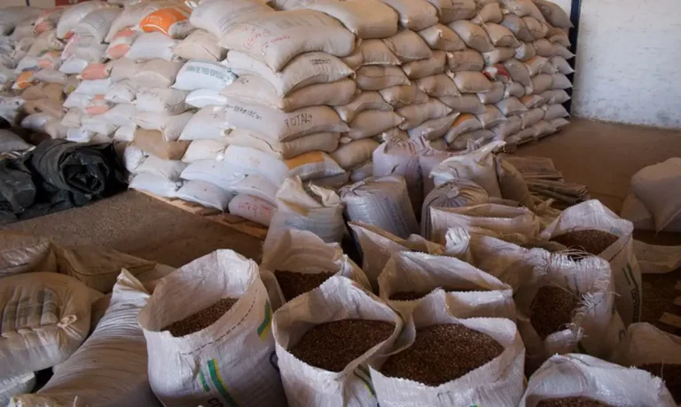 93bc0a2c-570e-4625-a03f-3f4e478d3498