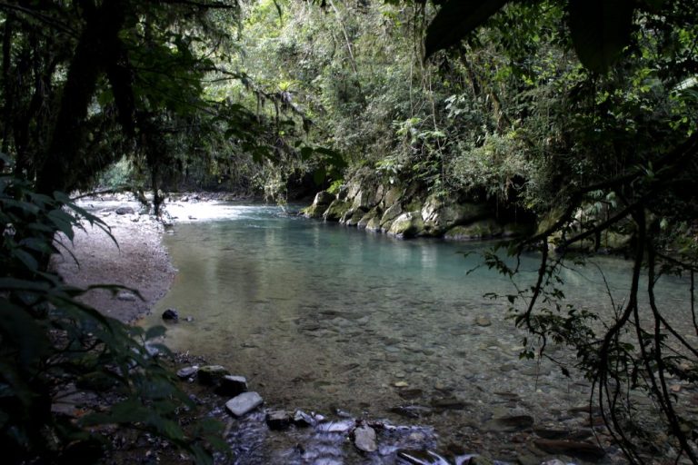 PETAR_000_ACH_PiscinasNaturais000_AcervoFundacaoFlorestal_01012011_01-1024x683-1