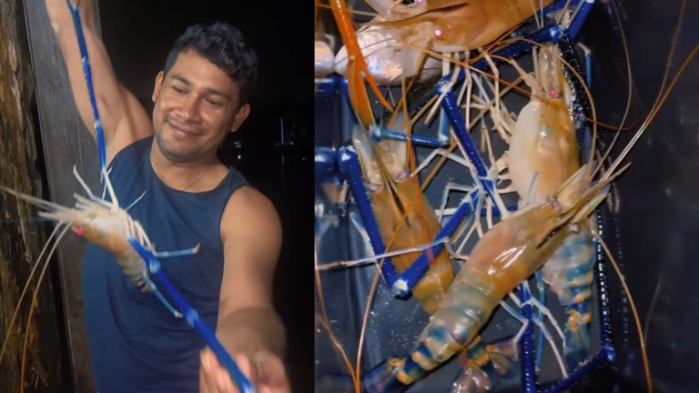 design-sem-nome-20-1