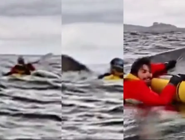 imagem_2025-02-13_142221678