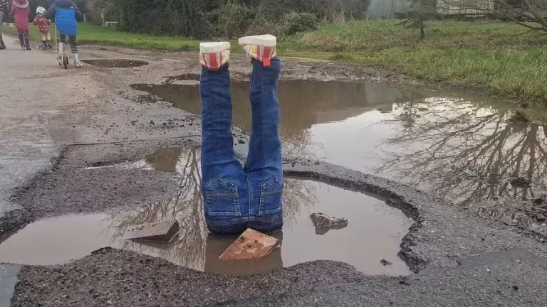 imagem_2025-02-27_125012943