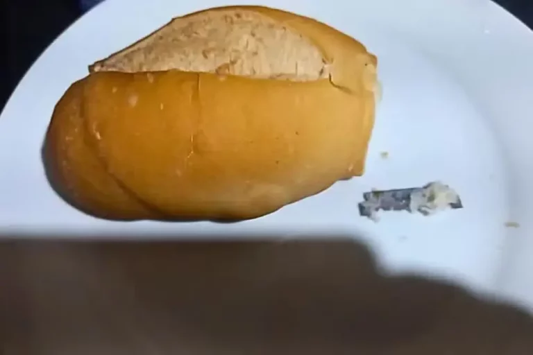 objeto-encontrado-em-pao