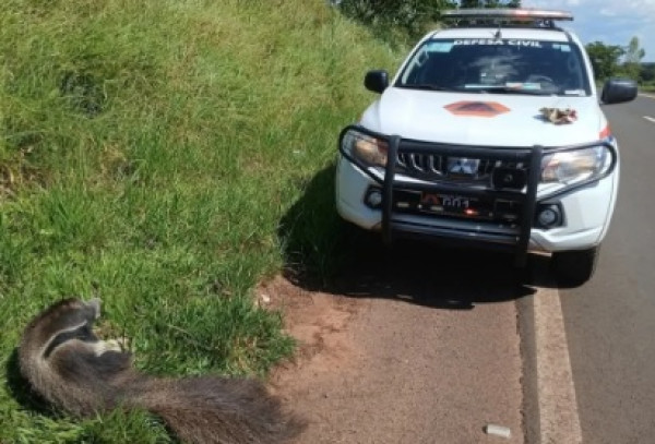 12688c03cee790b9d827c9085e9bc583___medialibrary_original_600_407