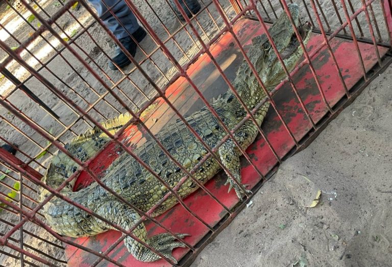 159599417467d1c82f71c2e