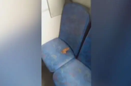 d77f8800-3ba6-41cc-a326-2ab655d2ec79