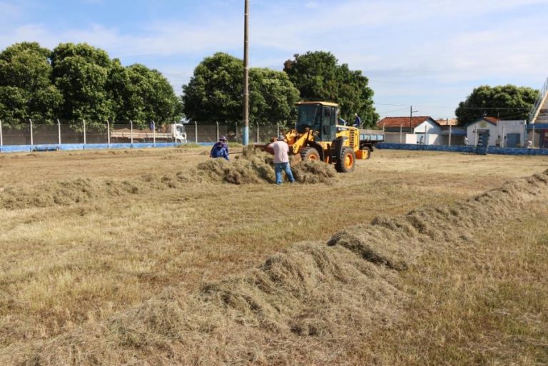 m_76_1_1_20032025144019