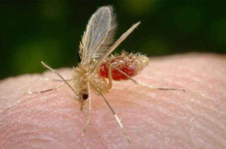 20170919075526157107i