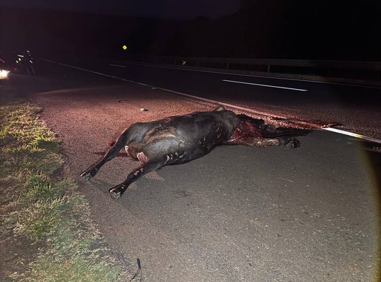 WhatsApp Image 2025-04-12 at 00.45