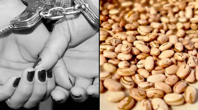 fbda22e2-6b35-4f1f-a827-6225fad04a54