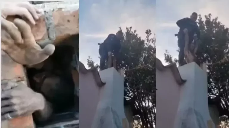 imagem_2025-05-28_172825694