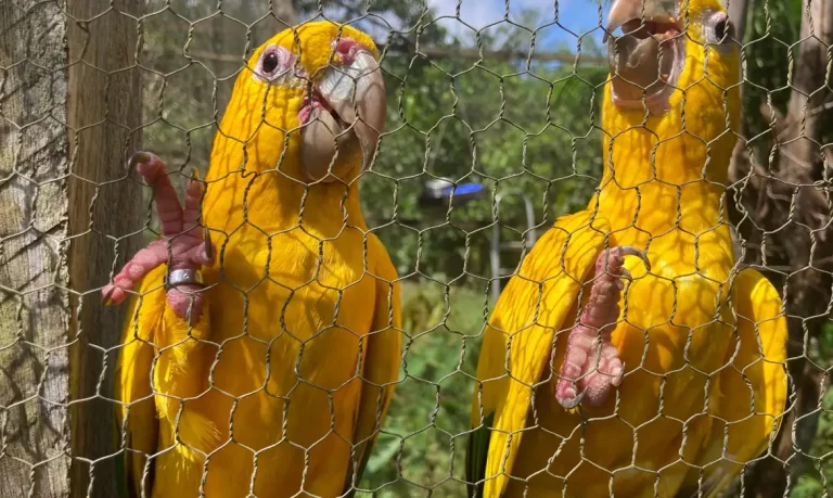 whatsapp_image_2025-05-28_at_14.10