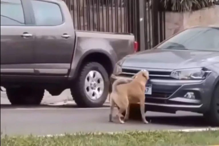 474b6f89-0a03-432e-b140-3177f52fbc62