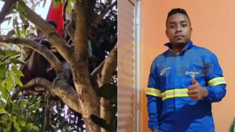 b0bdbb78-cc99-40de-b7af-375193c1e704