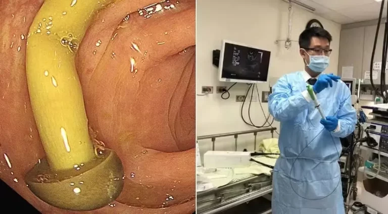 blog-mushroom-taiwan