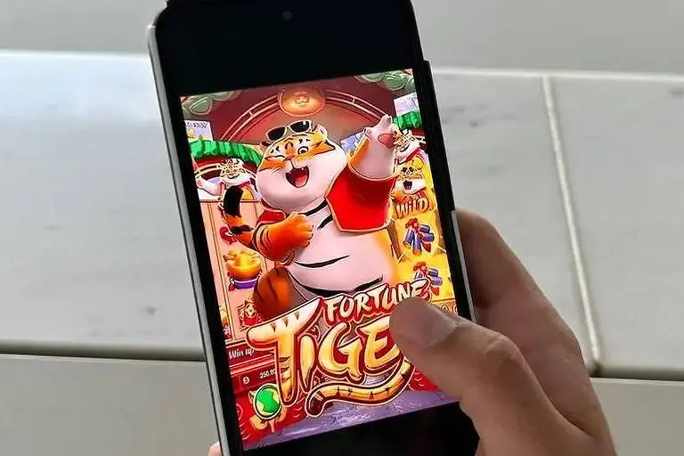 imagem_2025-06-18_132845883