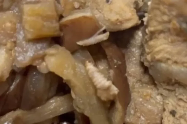 larva-comida-paciente-hospital