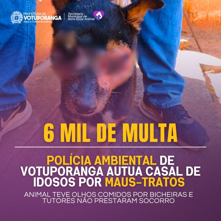 WhatsApp-Image-2025-07-23-at-17.41