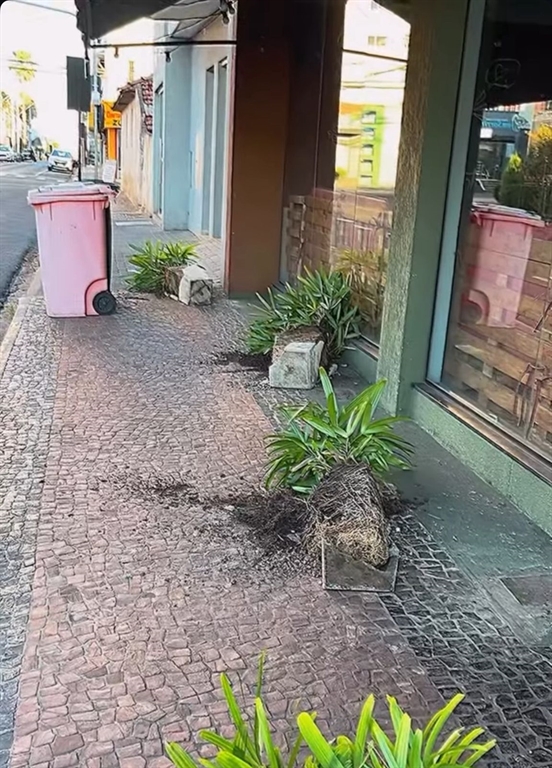 00000002722567836462284846249