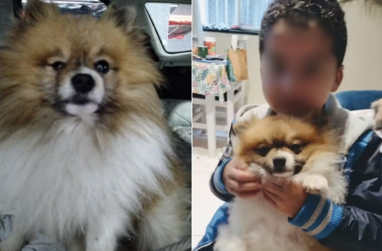 Captura de tela 2025-08-10 102949