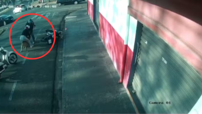 Captura de tela 2025-08-16 104558