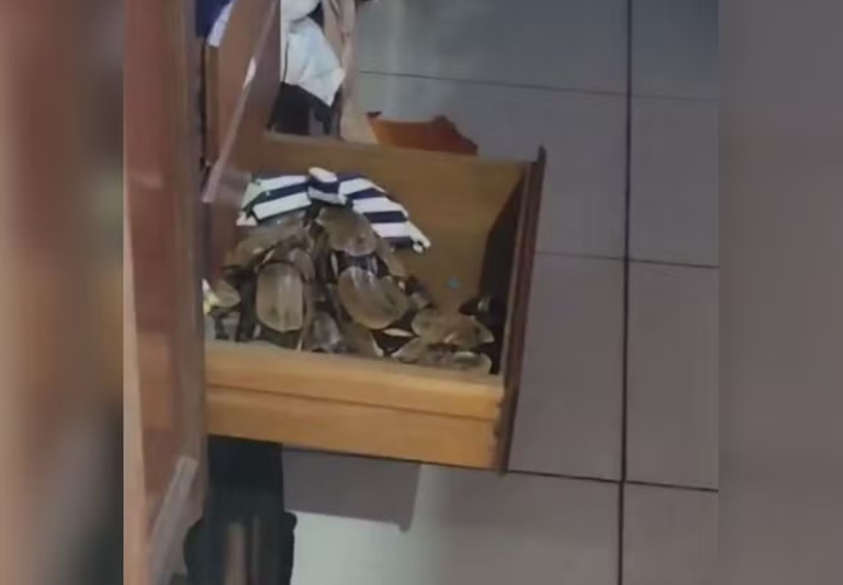 Captura de tela 2025-08-25 101919