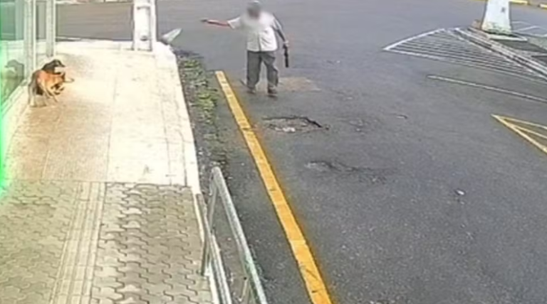 Captura de tela 2025-08-25 102411