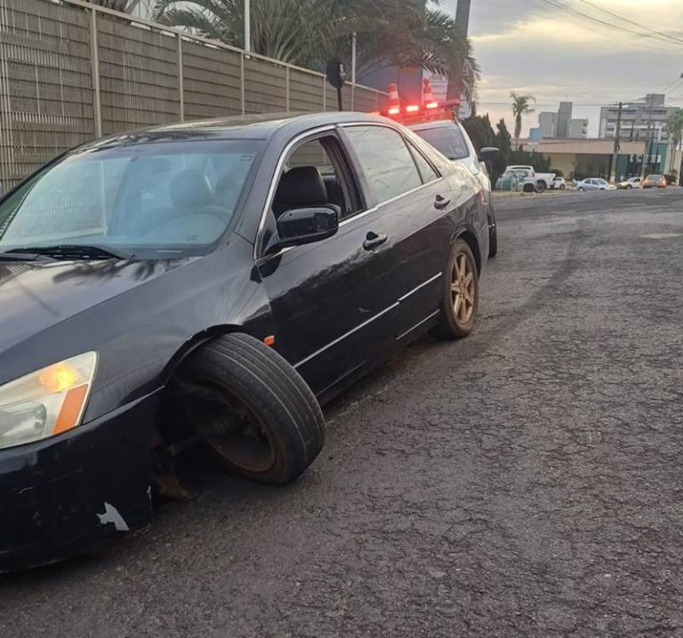 WhatsApp Image 2025-08-04 at 18.00