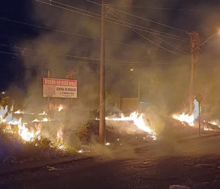 WhatsApp Image 2025-08-09 at 23.51