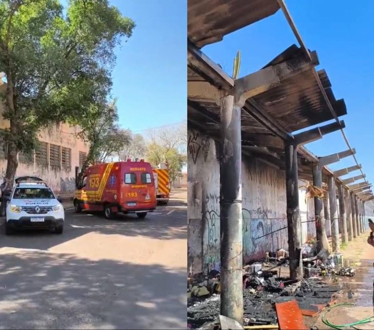 WhatsApp Image 2025-08-14 at 12.41