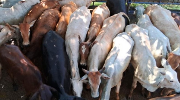 dcde92cba8dc296ee3c9197e2424da3b___medialibrary_original_600_332