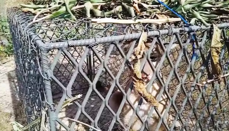 Captura de tela 2025-09-07 100426