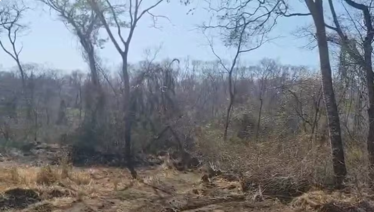 Captura de tela 2025-09-28 110024