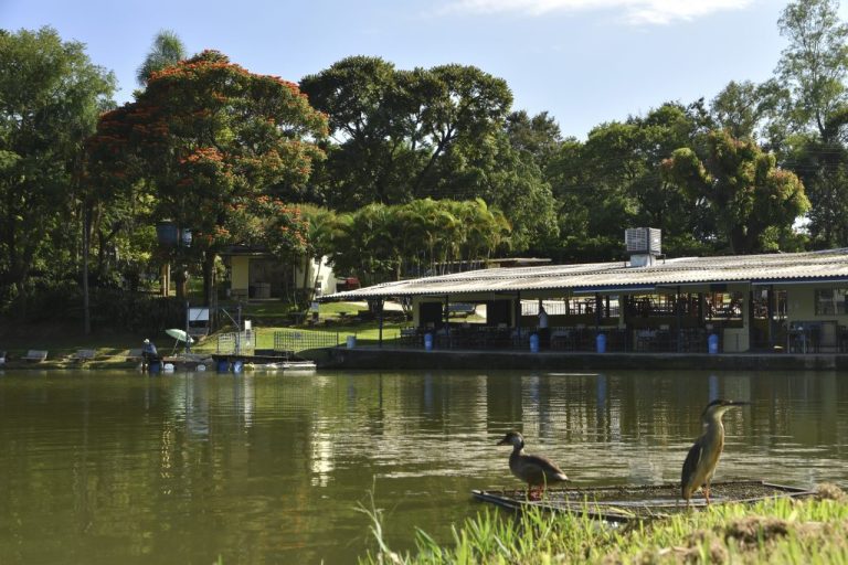 Pesqueiro-Santo-Agostinho-uma-das-atracoes-de-Indaiatuba-1024x683