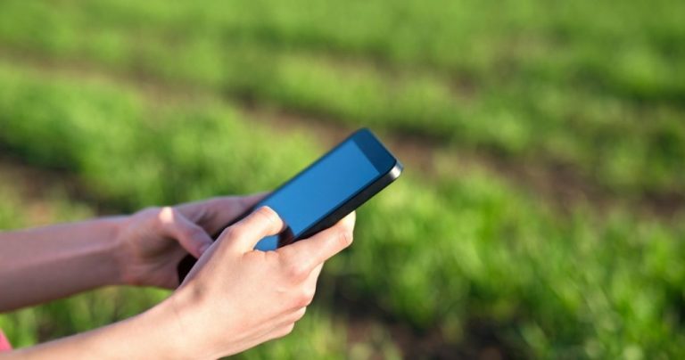 Sensores-verificam-a-saude-das-plantas-em-lavouras