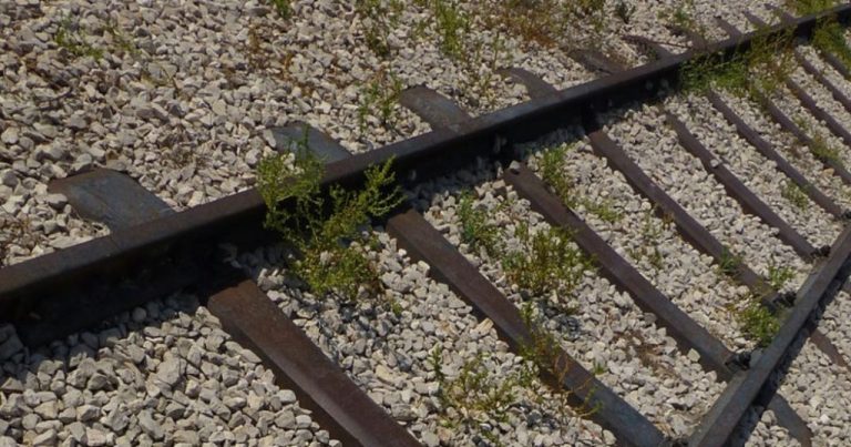 Adobe-Express-file-27-1024x537