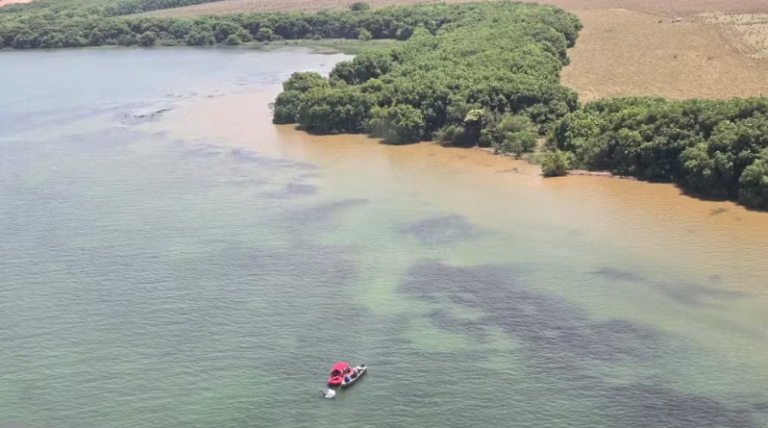 Captura de tela 2025-10-20 103923