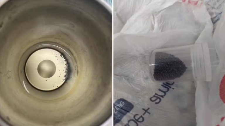 Captura de tela 2025-10-25 110531