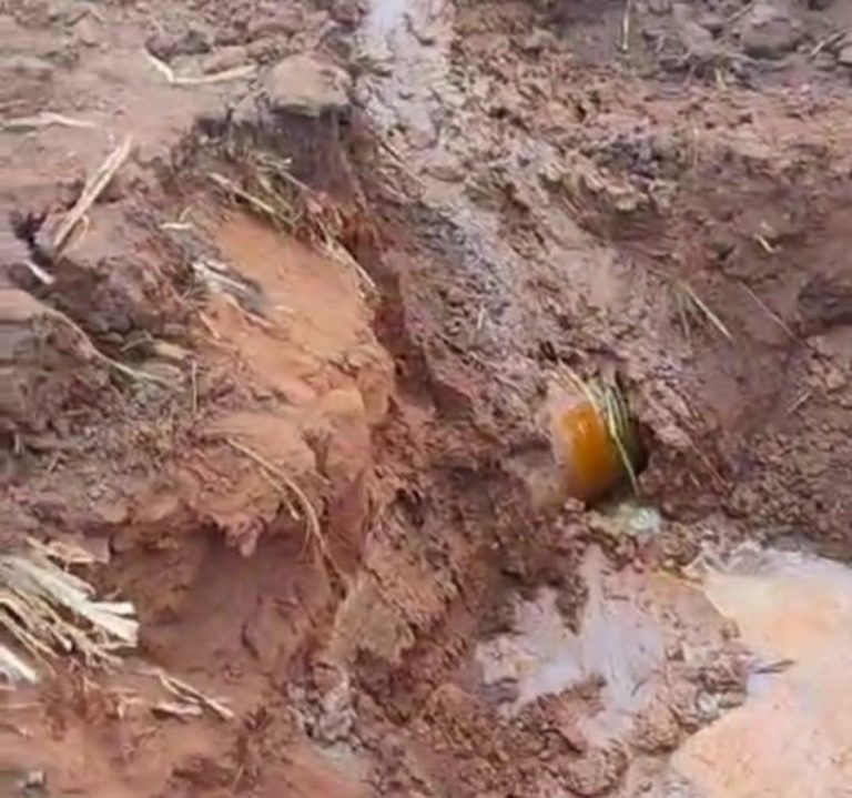 Messenger_creation_9A88C278-56B7-447F-AF6B-E346A023B910