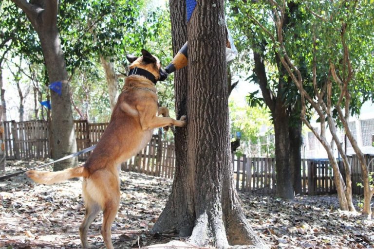 WhatsApp-Image-2025-09-29-at-15.58