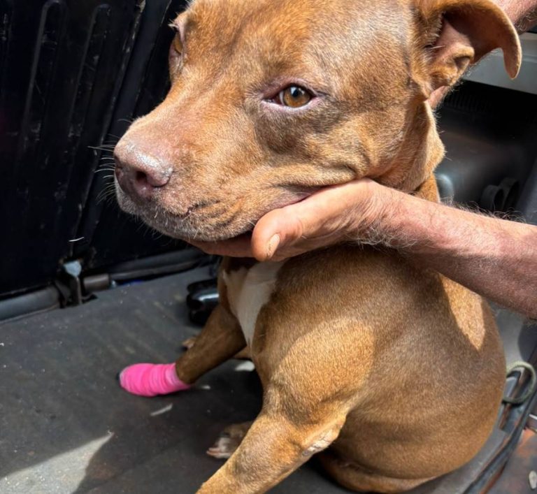 WhatsApp Image 2025-10-02 at 15.43