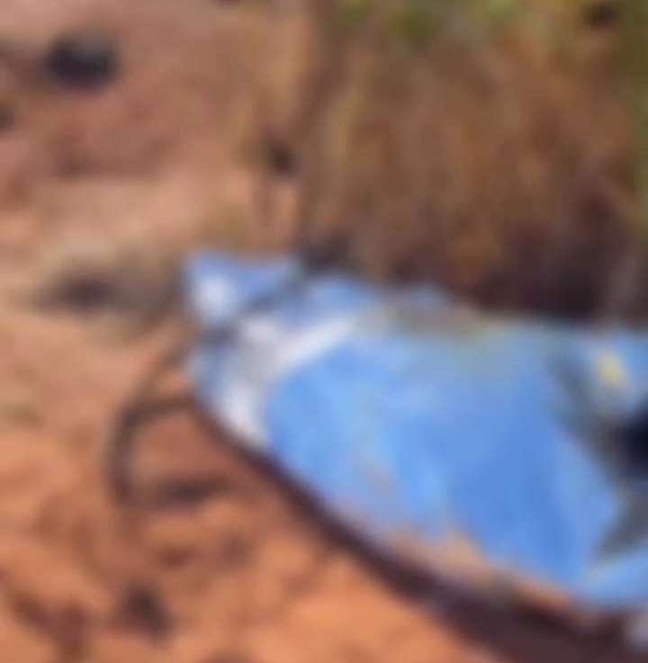 WhatsApp Image 2025-10-20 at 14.26