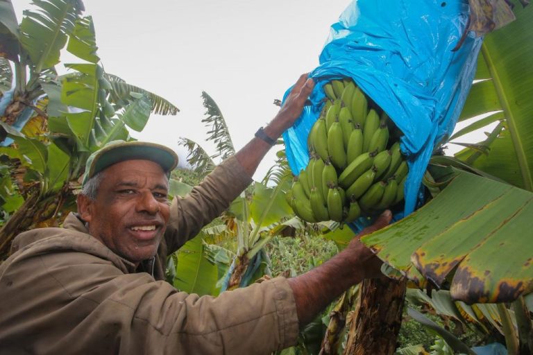 agricultura-familiar-sp-ppais