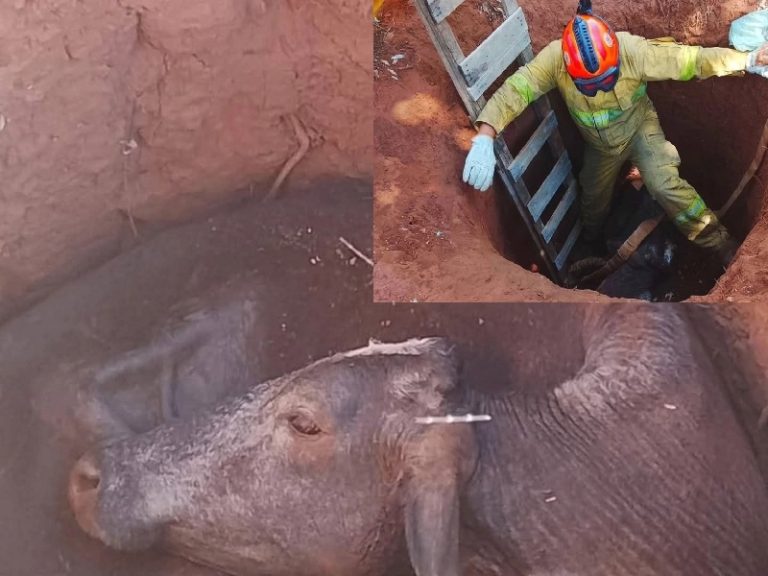 b28ece4f-a7ad-4696-96fb-51b5c400ad7b