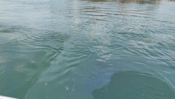 bf2f96903becd99f02917645d6b5c5a6___medialibrary_original_600_337