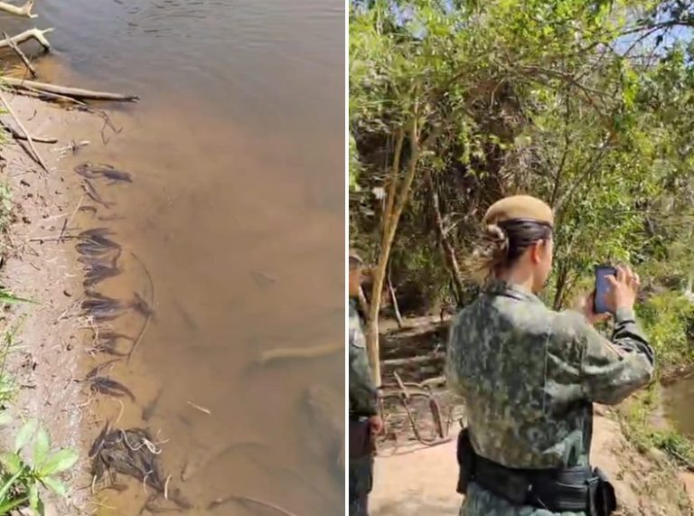 mortandade de peixes no são josé dos dourados