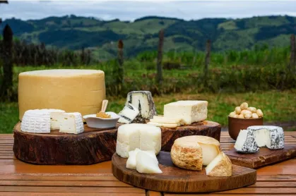 tabua-de-queijos-sao-paulo