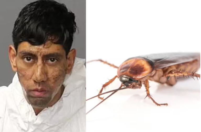 Captura de tela 2025-11-15 102258