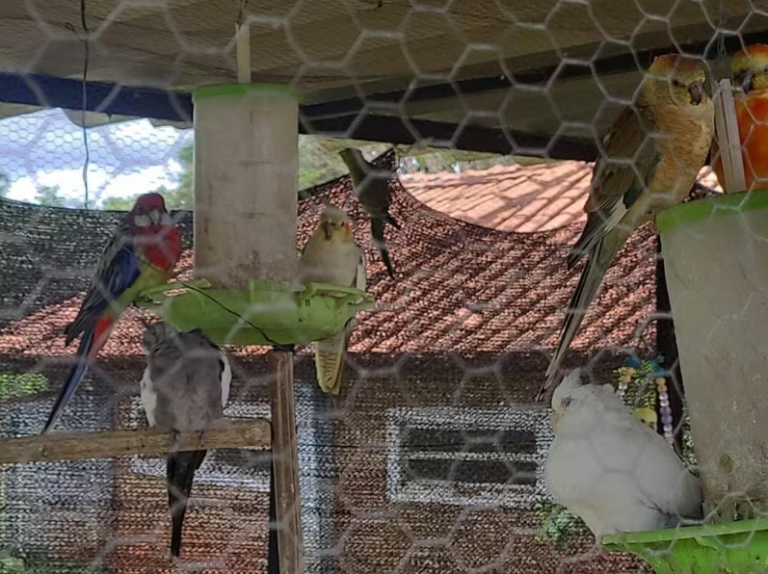 Captura de tela 2025-11-21 093557